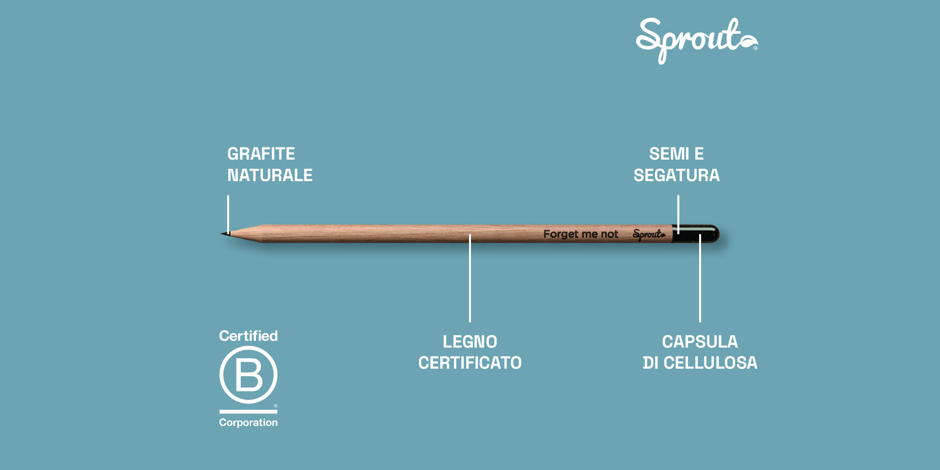 Sprout la piantamatita ecosostenibile