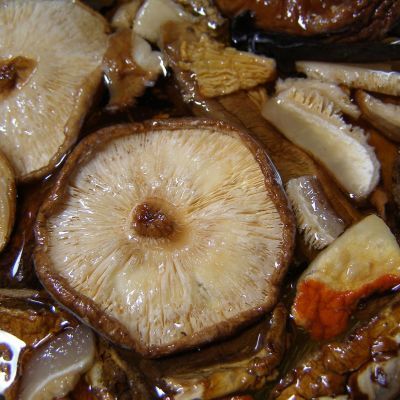 shiitake-ricetta-con-funghi