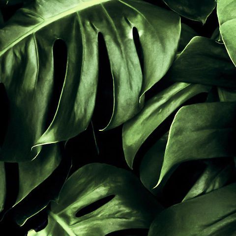 Un nuovo modo di concepire e vivere il verde