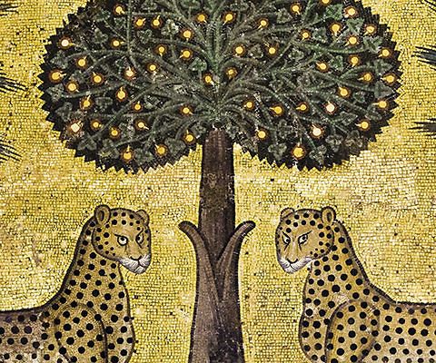 Un progetto nato in Sicilia dall’amore per la natura
