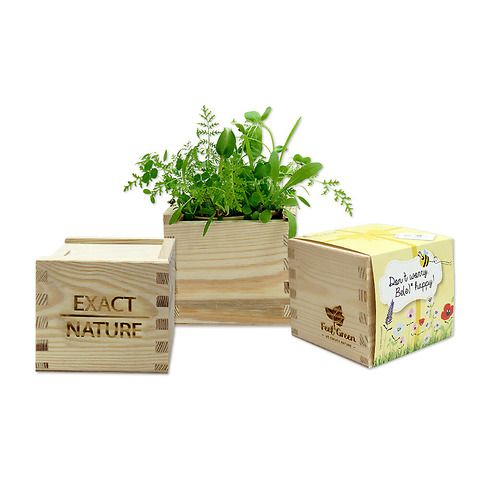 Ecobox personalizzato