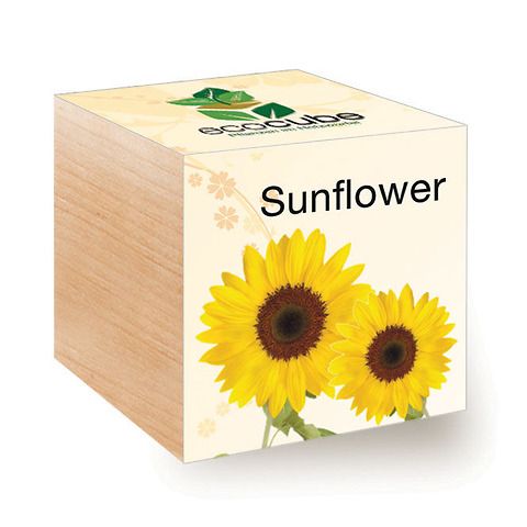 EcoCube • Girasole