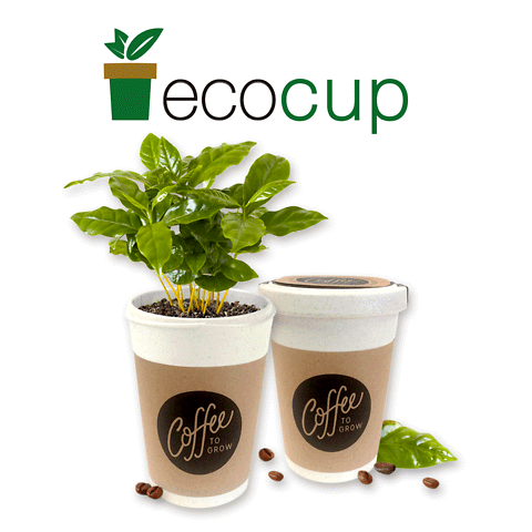 EcoCup - Piante in tazza personalizzate