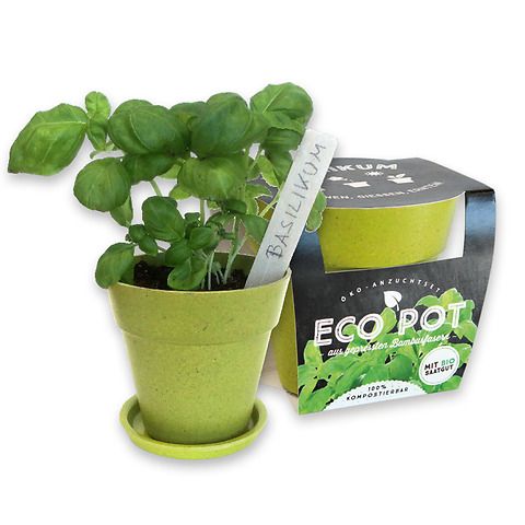 EcoPot • Piccolo vaso personalizzabile
