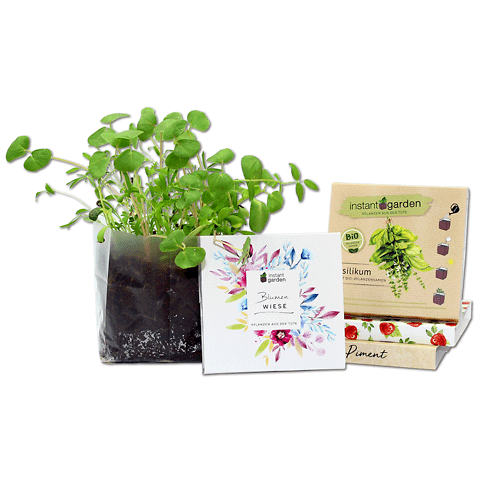 Instant Garden • Kit di coltivazione personalizzabile